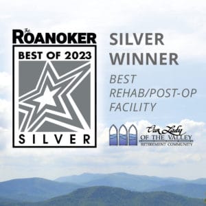 silver award